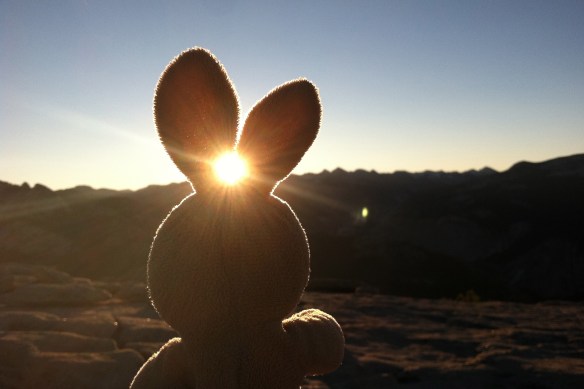 Well worth the wait.