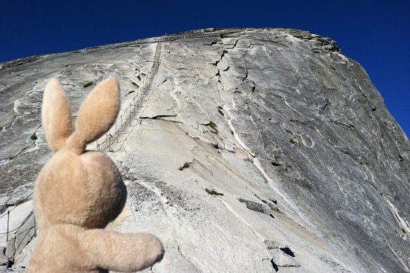 I was all the way up there! ... Half Dome: conquered. Farewell to the biggest granite beast I've ever seen.