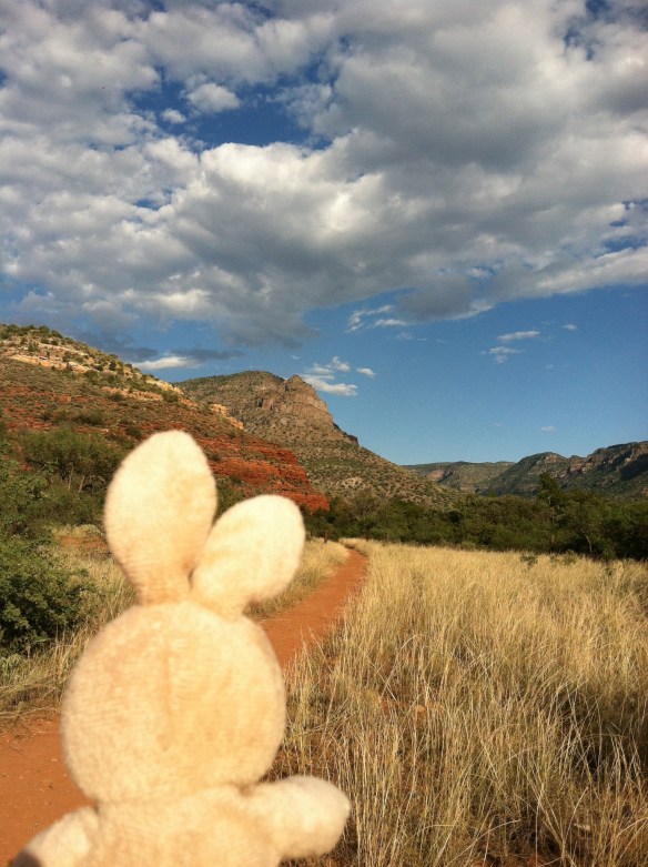 IMG_9301 - Version 2