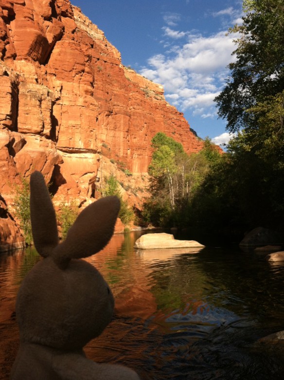 IMG_9309 - Version 2