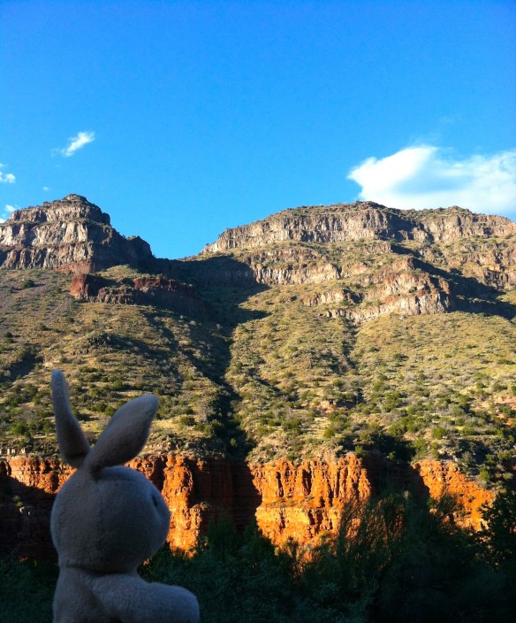 IMG_9310 - Version 2