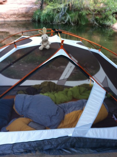 IMG_9339 - Version 2