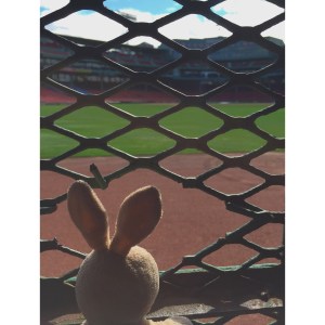 There's a bar in the outfield at Fenway - yummy drinks and eats.