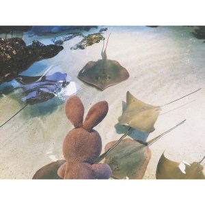 Made a few friends in the "Touch Tank". They weren't thrilled.