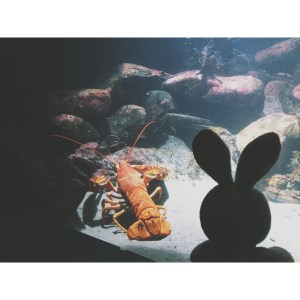 This dude was pretty nice - he made me feel guilty about that Lobster Roll I ate the night before... even though it was DELICIOUS.